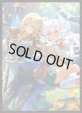 「恩愛の大地・テトラ＆ラティカ」(No.MT2452) きゃらスリーブコレクション マットシリーズ Shadowverse: Worlds Beyond(1個)[新品商品]