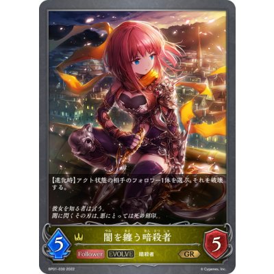 画像1: 【EVOLVE】闇を纏う暗殺者[SVE_BP01-030GR]