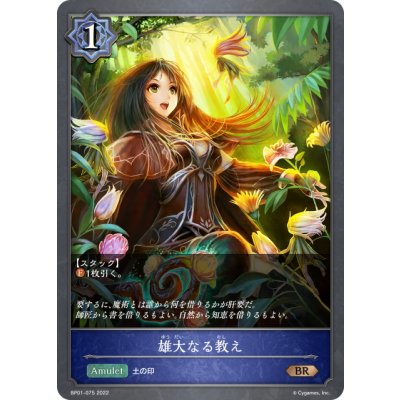 画像1: 雄大なる教え[SVE_BP01-075BR]