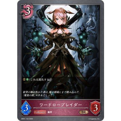 画像1: ワードローブレイダー[SVE_BP01-122BR]
