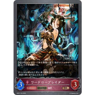 画像1: 【EVOLVE】ワードローブレイダー[SVE_BP01-123BR]