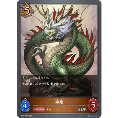 画像1: ★SRプレミアム★神龍[SVE_BP01-P17SR]