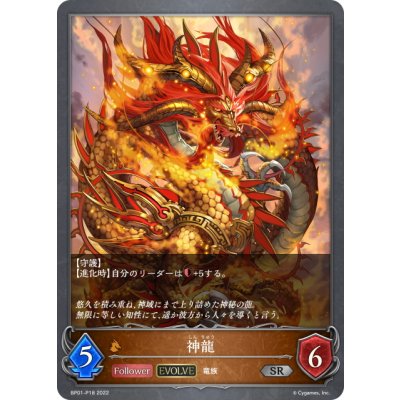 画像1: ★SRプレミアム★【EVOLVE】神龍[SVE_BP01-P18SR]