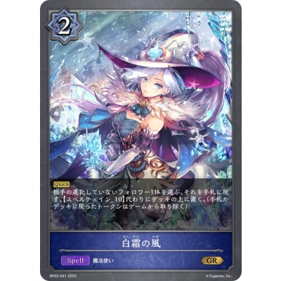 画像1: 白霜の風[SVE_BP02-041GR]