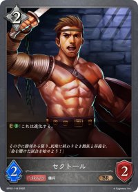 セクトール[SVE_BP02-118BR]