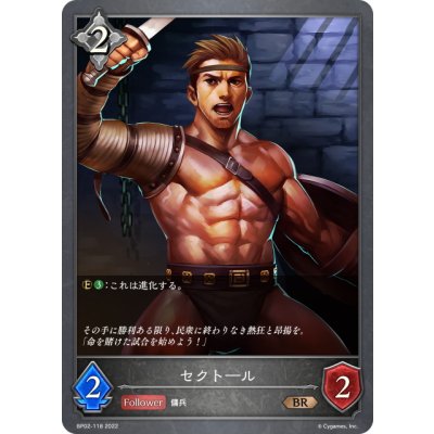 画像1: セクトール[SVE_BP02-118BR]