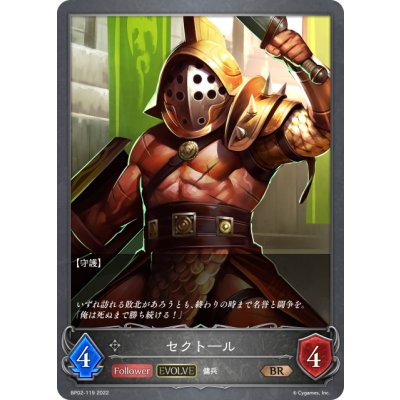画像1: 【EVOLVE】セクトール[SVE_BP02-119BR]