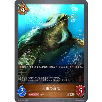 画像1: 大亀の長老[SVE_BP03-067BR]
