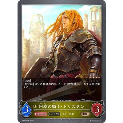 画像1: 【EVOLVE】円卓の騎士・トリスタン[SVE_BP04-036BR]