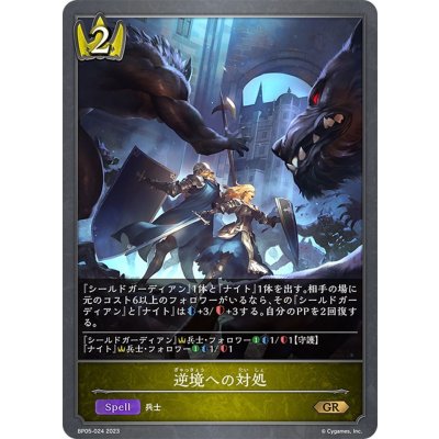 画像1: 逆境への対処[SVE_BP05-024 GR]