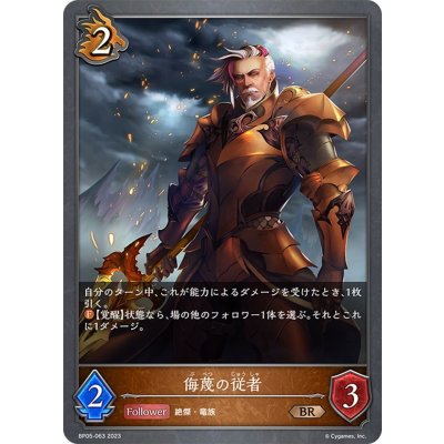 画像1: 侮蔑の従者[SVE_BP05-063 BR]