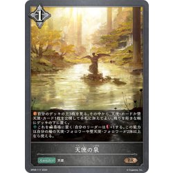 画像1: 天使の泉[SVE_BP09-117_BR]