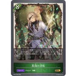 画像1: 真偽の逆転[SVE_BP10-008_GR]