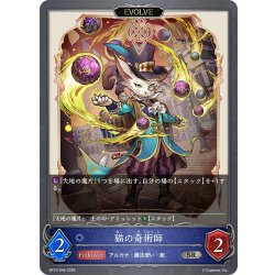 画像1: 【EVOLVE】猫の奇術師[SVE_BP10-045_SR]