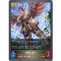 画像1: 剛健の翼人[SVE_BP10-107_BR]