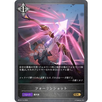 画像1: フォーリンショット[SVE_BP10-114_GR]