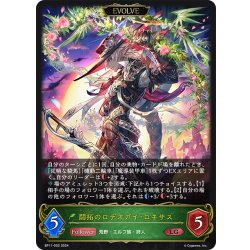 画像1: 【EVOLVE】開拓のロデオガイ・ロキサス[SVE_BP11-002_LG]