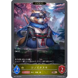 画像1: 【EVOLVE】シノビタヌキ[SVE_BP11-030_BR]