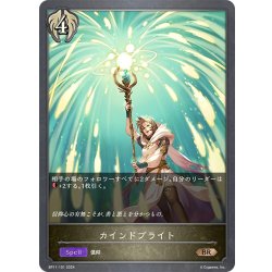 画像1: カインドブライト[SVE_BP11-101_BR]