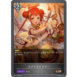 画像1: スパイスシャワー[SVE_BP11-116_BR]