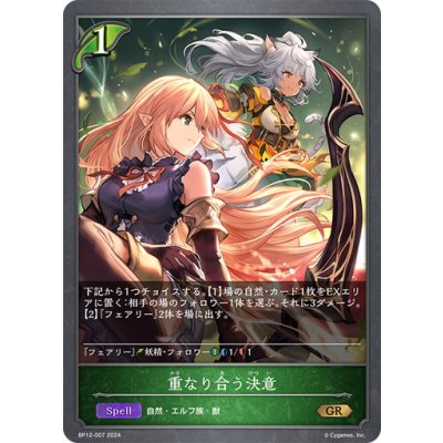 画像1: 重なり合う決意[SVE_BP12-007_GR]