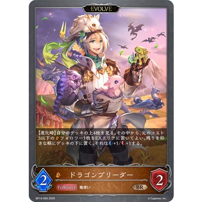 画像1: 【EVOLVE】ドラゴンブリーダー[SVE_BP14-065_BR]