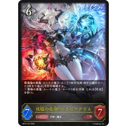 画像1: 双極の生命・フラム＝グラス[SVE_BP14-107_LG]