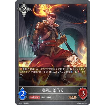 画像1: 照明の案内人[SVE_BP14-118_BR]