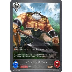 画像1: マウンテンギガース[SVE_BP15-125_BR]