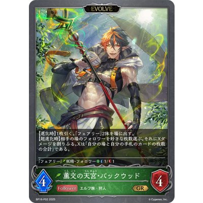 画像1: ★GRプレミアム★【EVOLVE】薫交の天宮・バックウッド[SVE_BP16-P02_GR]