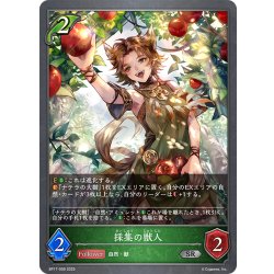 画像1: 採集の獣人[SVE_BP17-009_SR]