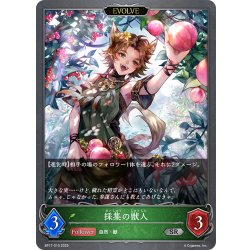 画像1: 【EVOLVE】採集の獣人[SVE_BP17-010_SR]
