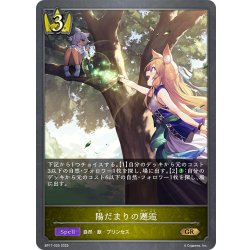 画像1: 陽だまりの邂逅[SVE_BP17-025_GR]