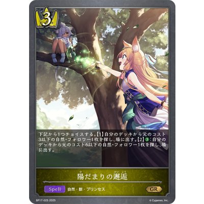 画像1: 陽だまりの邂逅[SVE_BP17-025_GR]