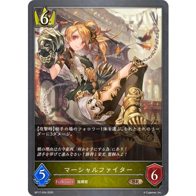 画像1: マーシャルファイター[SVE_BP17-034_BR]