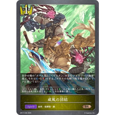 画像1: 威風の団結[SVE_BP17-036_BR]
