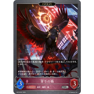 画像1: 【EVOLVE】穿りの鴉[SVE_BP18-087_SR]