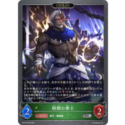 画像1: ★SRプレミアム★【EVOLVE】樹都の拳士[SVE_BP18-P06_SR]