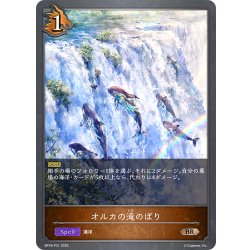 画像1: ★BRプレミアム★オルカの滝のぼり[SVE_BP18-P31_BR]