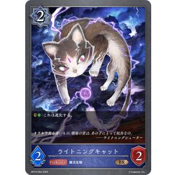 画像1: ライトニングキャット[SVE_BP19-050_BR]