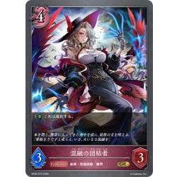 画像1: 混融の団結者[SVE_BP20-079_GR]