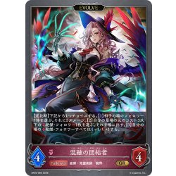 画像1: 【EVOLVE】混融の団結者[SVE_BP20-080_GR]