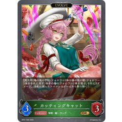 画像1: 【EVOLVE】カッティングキャット[SVE_BP21-006_GR]
