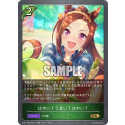 画像1: ★GRプレミアム★はやい！うまい！はやい！[SVE_CP01-P02GR]