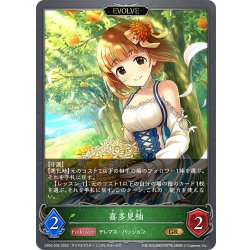 画像1: 【EVOLVE】喜多見柚[SVE_CP02-005_GR]