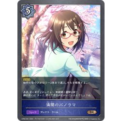 画像1: 満開のパノラマ[SVE_CP02-051_BR]