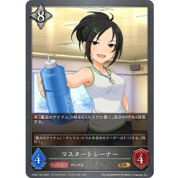 画像1: マスタートレーナー[SVE_CP02-105_GR]