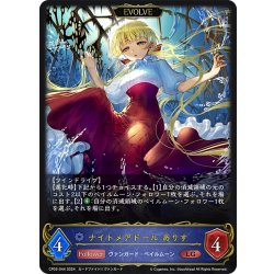 画像1: 【EVOLVE】ナイトメアドール ありす[SVE_CP03-044_LG]
