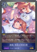 真理と実存の共同幻想[SVE_CP04-044_GR]