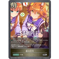 画像1: 運の行方[SVE_CSD01-013SR]